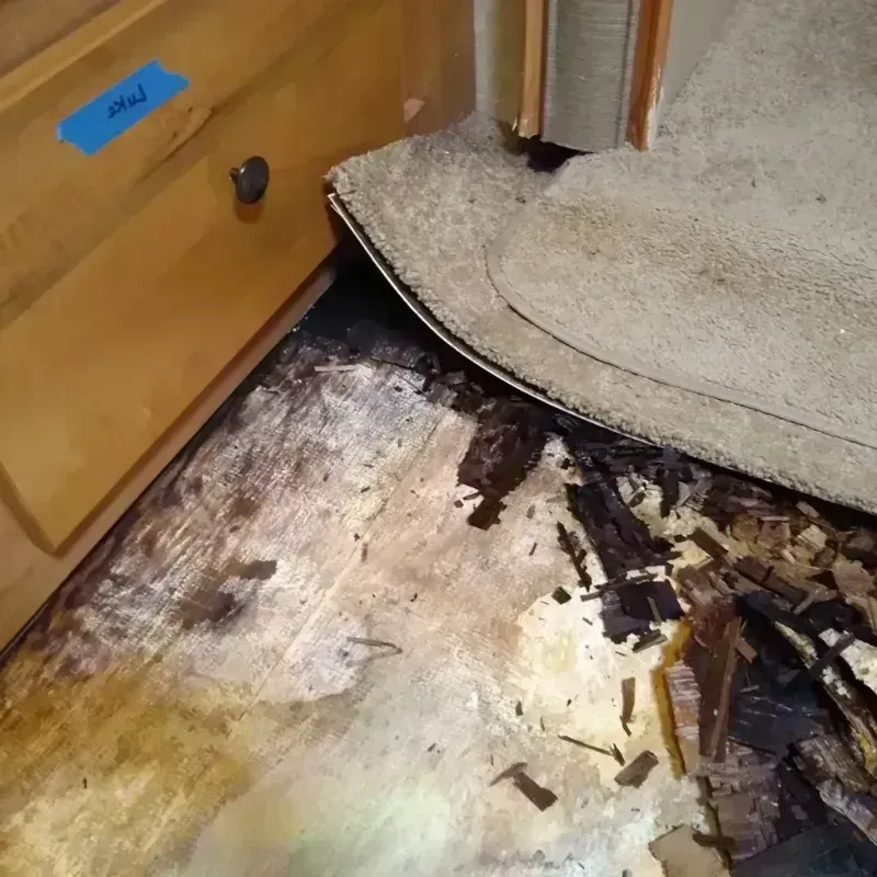 Wood Floor Water Damage in Nederland, CO